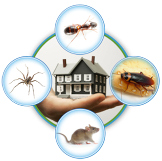 Home pest control company in Smyrna and Murfreesobor