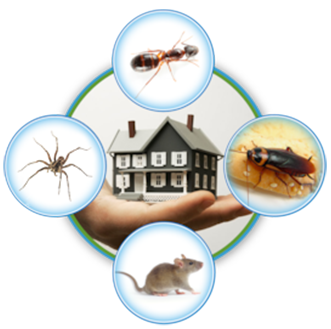 local pest control company smyrna and murfreesboro tn